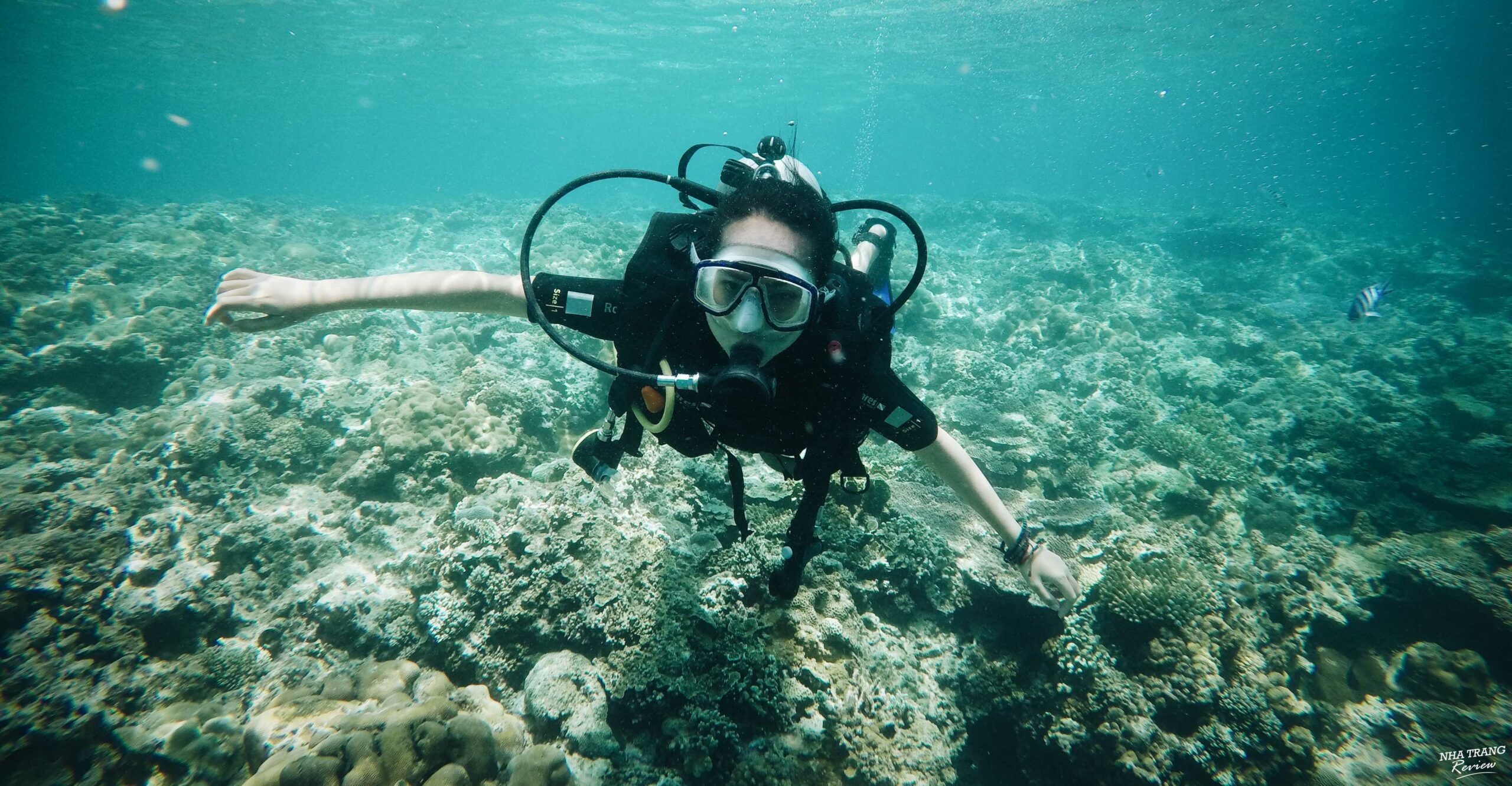 Snorkeling và Diving